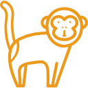 001-animals